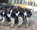 1234.jpg