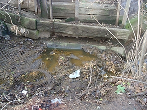 DSC07942.JPG