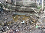 DSC07942.JPG