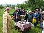 IMG_2048.jpg