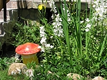 IMG_2318.jpg